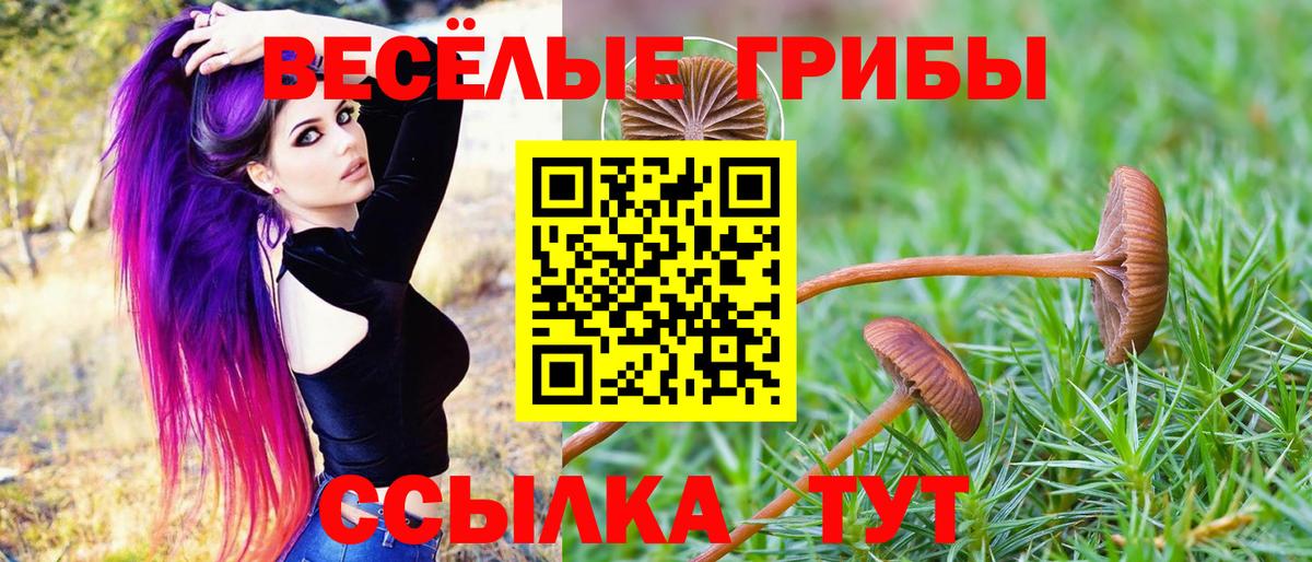 Алушта  Галлюциногенные грибы GOLDEN TEACHER  Вход с VPN 