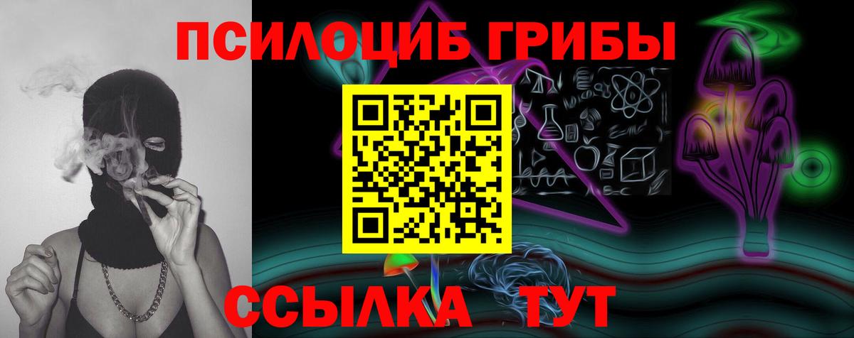 Псилоцибиновые грибы Cubensis Алушта